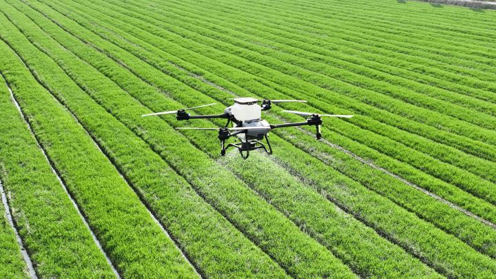 Drone agrícola en campo