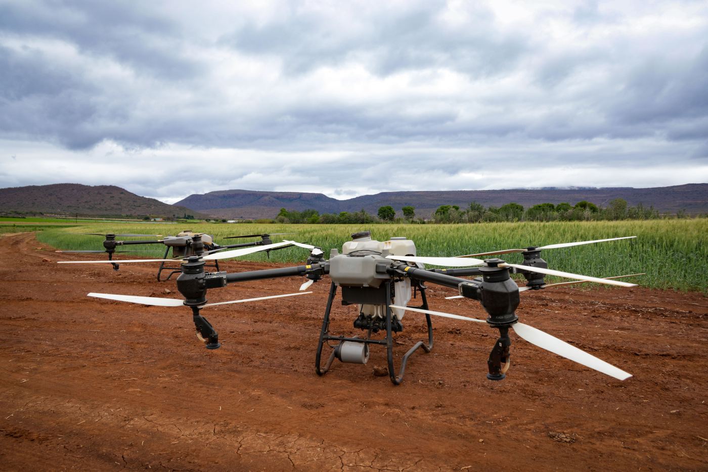 Campo agrícola monitoreado con drones de precisión